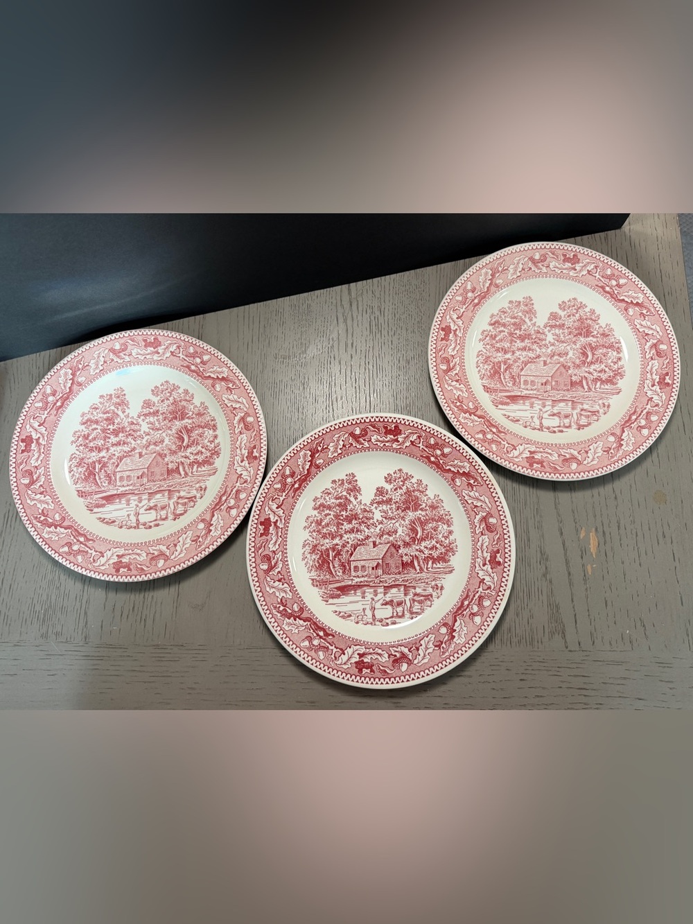 Vintage Royal Ironstone Memory Lane Dinner Plates -Qty 3